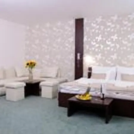 Gaudio 布拉迪斯拉发