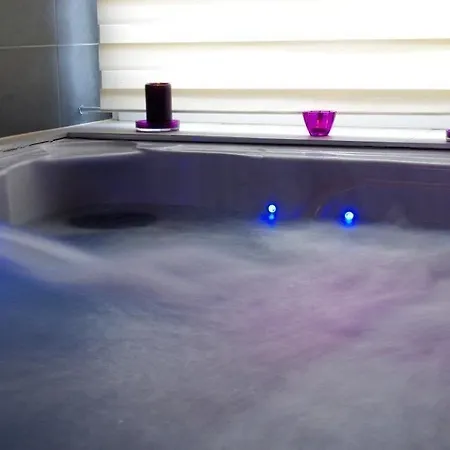Hotel Gaudio 3*