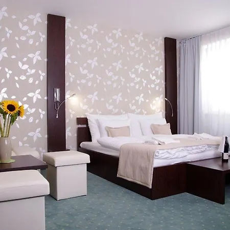 Gaudio 布拉迪斯拉发