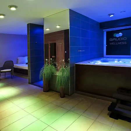 Gaudio 布拉迪斯拉发